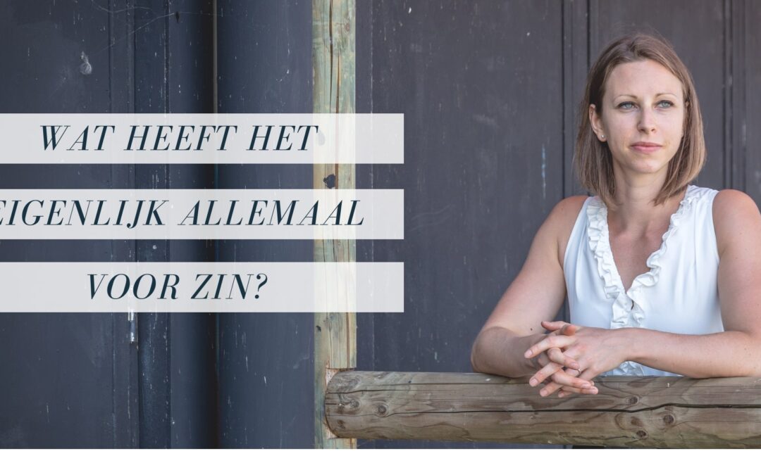 Wat heeft het eigenlijk allemaal voor zin